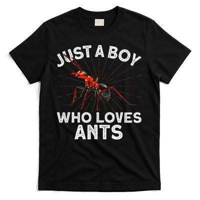 Cool Ant Ant Farm Entomology Ants Insect T-Shirt