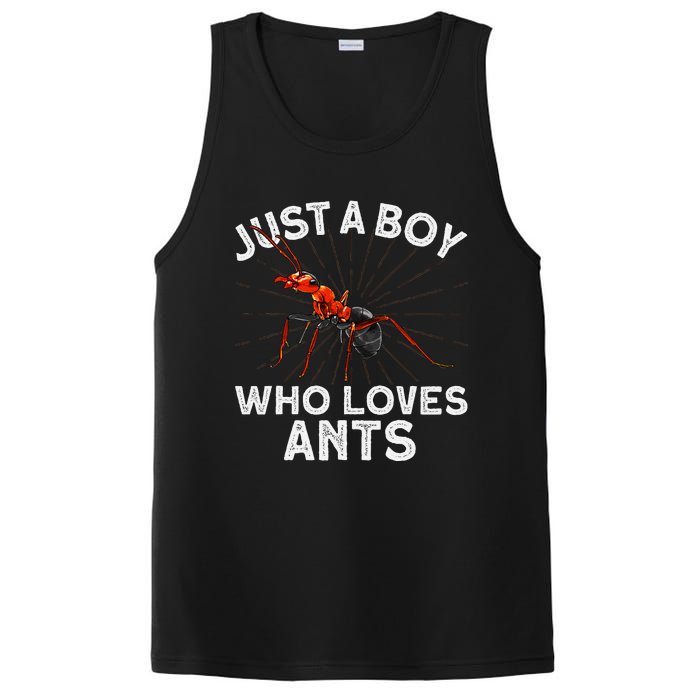 Cool Ant Ant Farm Entomology Ants Insect PosiCharge Competitor Tank