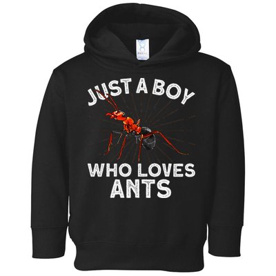 Cool Ant Ant Farm Entomology Ants Insect Toddler Hoodie