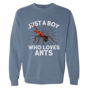 Cool Ant Ant Farm Entomology Ants Insect Garment-Dyed Sweatshirt