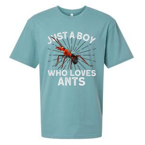 Cool Ant Ant Farm Entomology Ants Insect Sueded Cloud Jersey T-Shirt