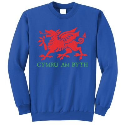 Cymru Am Byth Welsh Rugby Dragon Wales Player Pride Funny Gift Cool Gift Tall Sweatshirt