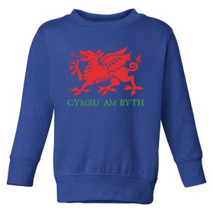 Cymru Am Byth Welsh Rugby Dragon Wales Player Pride Funny Gift Cool Gift Toddler Sweatshirt