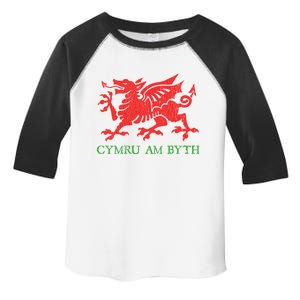 Cymru Am Byth Welsh Rugby Dragon Wales Player Pride Funny Gift Cool Gift Toddler Fine Jersey T-Shirt