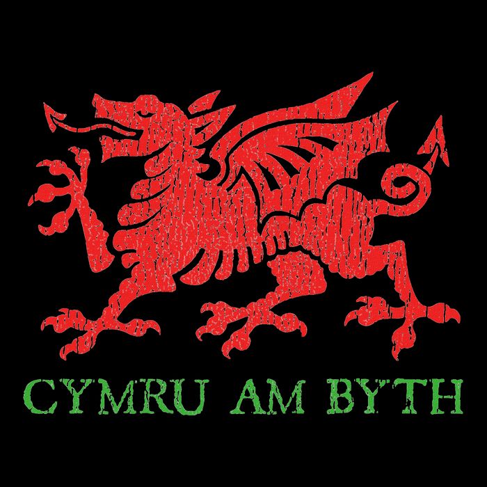 Cymru Am Byth Welsh Rugby Dragon Wales Player Pride Gifts Sustainable Bucket Hat