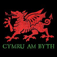 Cymru Am Byth Welsh Rugby Dragon Wales Player Pride Gifts Mesh Reversible Basketball Jersey Tank