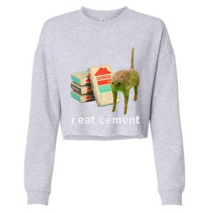 Cat And Book I Eat Cement Cropped Pullover Crew