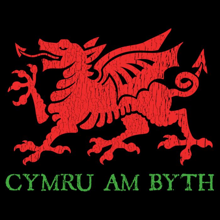 Cymru Am Byth Welsh Rugby Dragon Wales Player Pride Funny Gift Mug