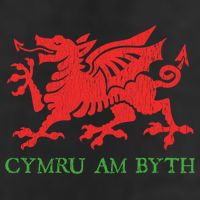 Cymru Am Byth Welsh Rugby Dragon Wales Player Pride Funny Gift 11oz C Handle Ceramic Mug