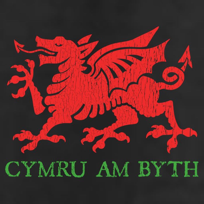 Cymru Am Byth Welsh Rugby Dragon Wales Player Pride Funny Gift 11oz C Handle Ceramic Mug