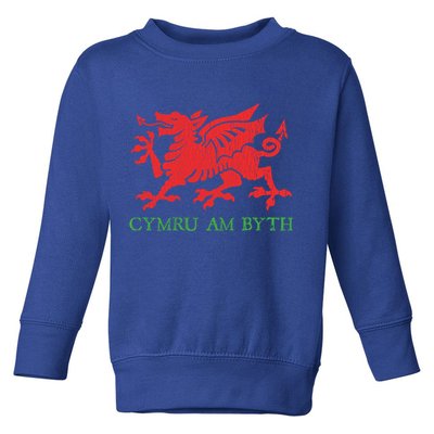 Cymru Am Byth Welsh Rugby Dragon Wales Player Pride Funny Gift Toddler Sweatshirt
