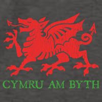 Cymru Am Byth Welsh Rugby Dragon Wales Player Pride Funny Gift Vector Backpack