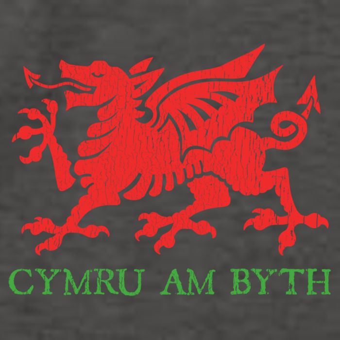 Cymru Am Byth Welsh Rugby Dragon Wales Player Pride Funny Gift Vector Backpack