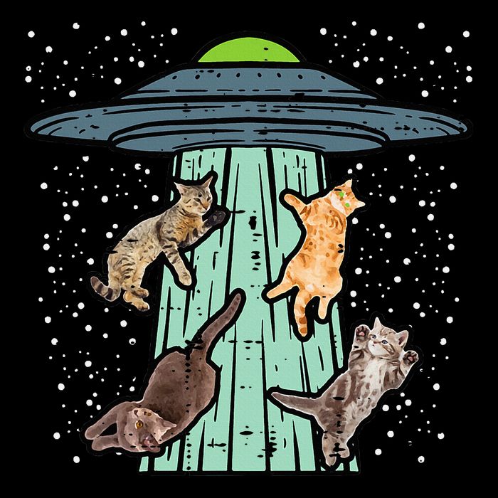 Cats Abducted By Ufo Funny Alien Space Lover Youth Performance Sprint T-Shirt