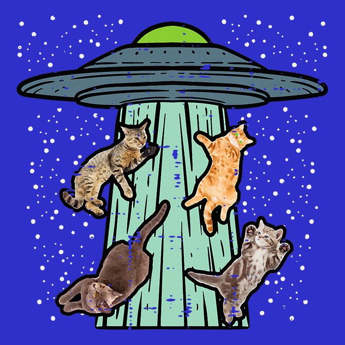Cats Abducted By Ufo Funny Alien Space Lover Sweatshirt