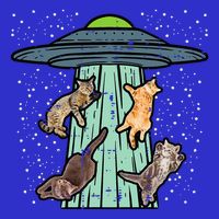 Cats Abducted By Ufo Funny Alien Space Lover Short Acrylic Beanie