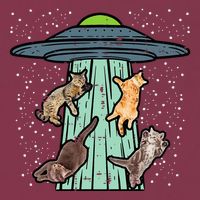 Cats Abducted By Ufo Funny Alien Space Lover 16oz Travel Tumbler