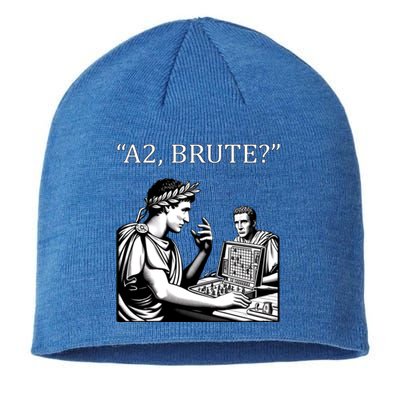 Caesar And Brutus Board Game Meme Funny History Gift Sustainable Beanie