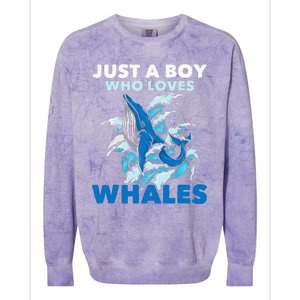 CJust A Boy Who Loves Whales Marine Biologist Whale Lover Colorblast Crewneck Sweatshirt