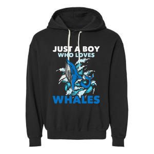 CJust A Boy Who Loves Whales Marine Biologist Whale Lover Garment-Dyed Fleece Hoodie