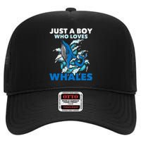 CJust A Boy Who Loves Whales Marine Biologist Whale Lover High Crown Mesh Back Trucker Hat