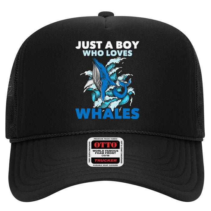 CJust A Boy Who Loves Whales Marine Biologist Whale Lover High Crown Mesh Back Trucker Hat