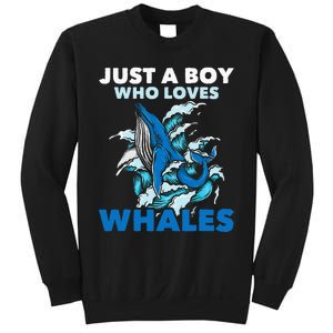 CJust A Boy Who Loves Whales Marine Biologist Whale Lover Sweatshirt