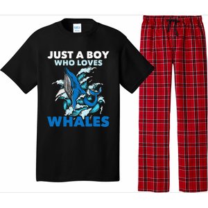 CJust A Boy Who Loves Whales Marine Biologist Whale Lover Pajama Set