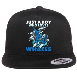 CJust A Boy Who Loves Whales Marine Biologist Whale Lover Flat Bill Trucker Hat