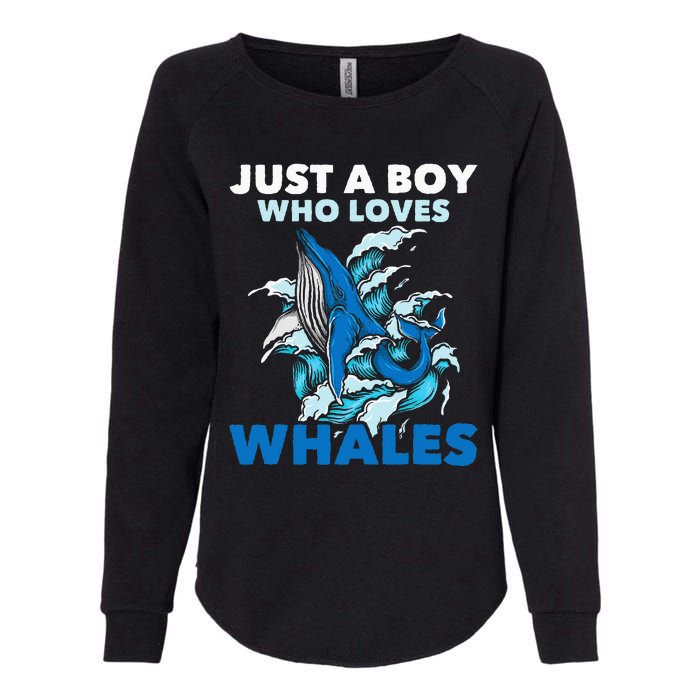 CJust A Boy Who Loves Whales Marine Biologist Whale Lover Womens California Wash Sweatshirt