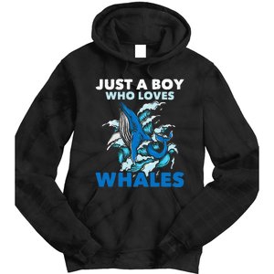 CJust A Boy Who Loves Whales Marine Biologist Whale Lover Tie Dye Hoodie