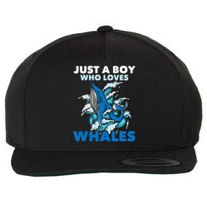 CJust A Boy Who Loves Whales Marine Biologist Whale Lover Wool Snapback Cap