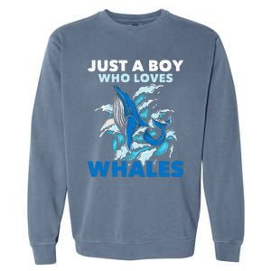 CJust A Boy Who Loves Whales Marine Biologist Whale Lover Garment-Dyed Sweatshirt