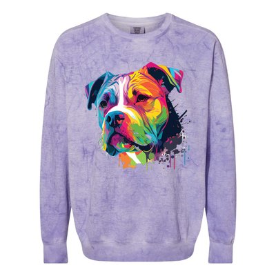 Colorful American Bulldog American Bully Men Women Colorblast Crewneck Sweatshirt