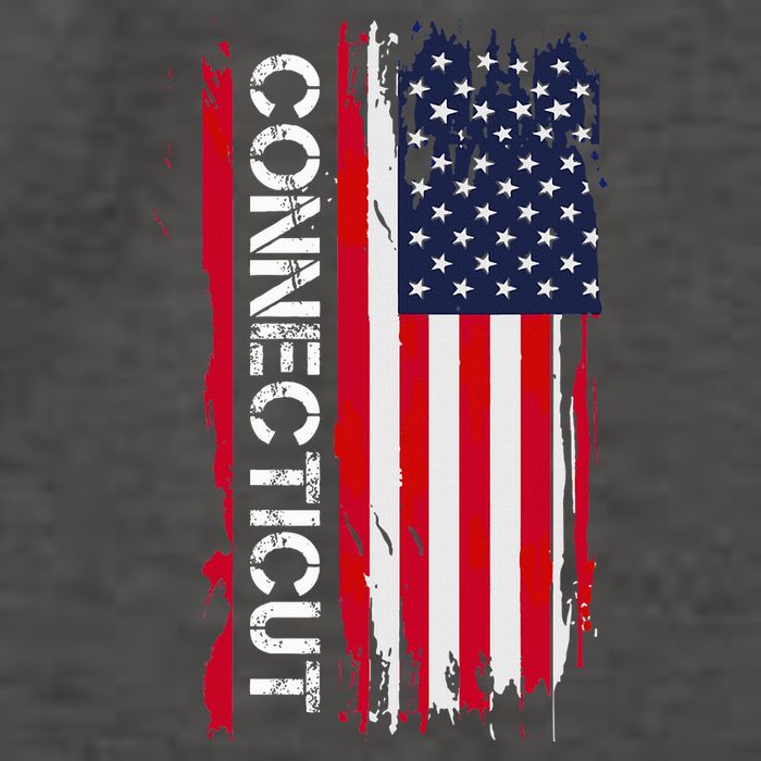 Connecticut America Vector Backpack