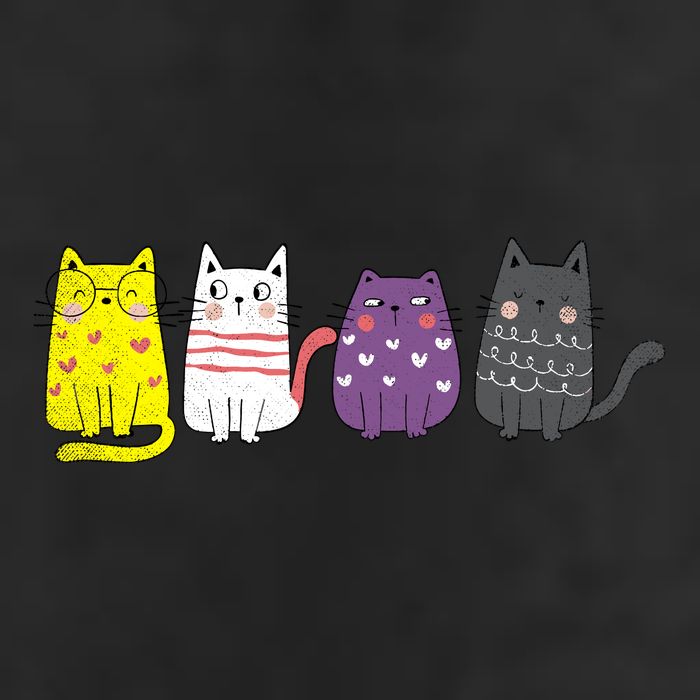 Cute Animal Cat Gift Non Binary Pride Agender Non Binary Cool Comfort Performance Bucket Hat