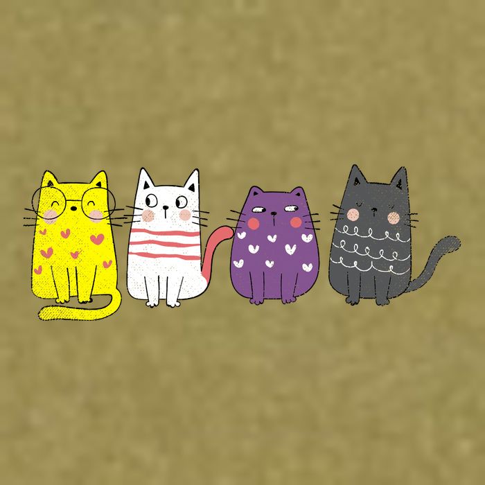 Cute Animal Cat Gift Non Binary Pride Agender Non Binary Garment-Dyed Women's Muscle Tee