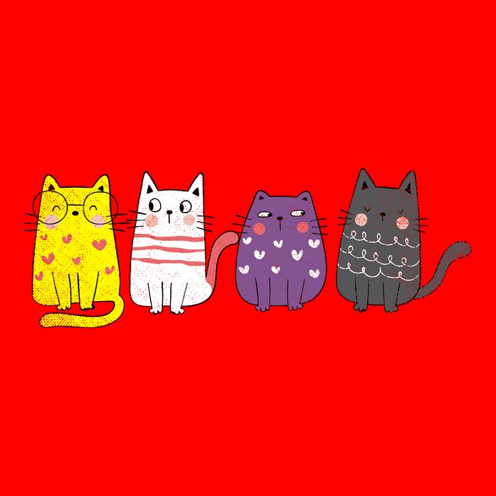 Cute Animal Cat Gift Non Binary Pride Agender Non Binary 16 in Basic Backpack