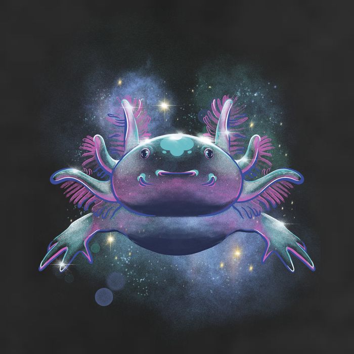 Cosmic Axolotl Garment-Dyed Heavyweight T-Shirt