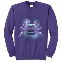 Cosmic Axolotl Sweatshirt