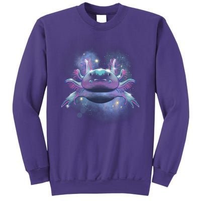 Cosmic Axolotl Sweatshirt