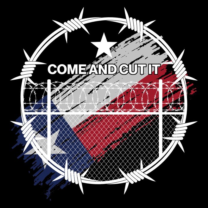Come And Cut It Barbwire Texas Flag Sustainable Bucket Hat