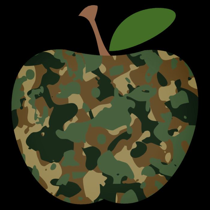 Camouflage Apple 7-Panel Snapback Hat