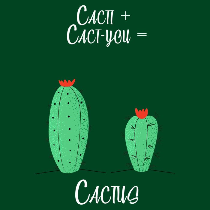 Cacti Cact-You Equals Cactus T-Shirt