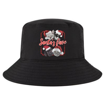 Cats And Dogs Santa's Love Cool Comfort Performance Bucket Hat