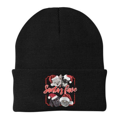 Cats And Dogs Santa's Love Beanie