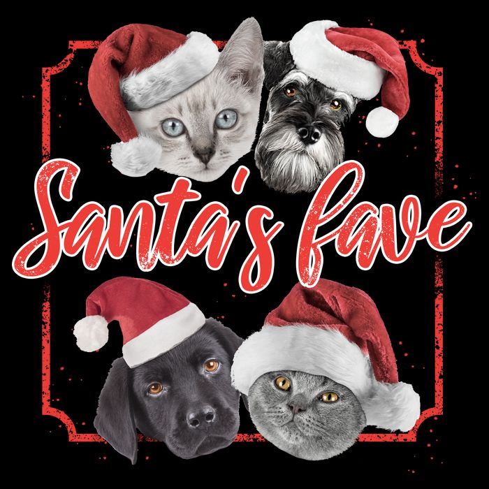 Cats And Dogs Santa's Love 16 in Basic Backpack