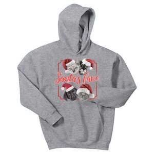 Cats And Dogs Santa's Love Kids Hoodie