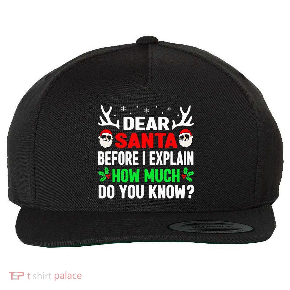 Christmas Adults Dear Santa I Can Explain Wool Snapback Cap