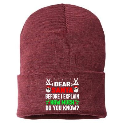 Christmas Adults Dear Santa I Can Explain Sustainable Knit Beanie